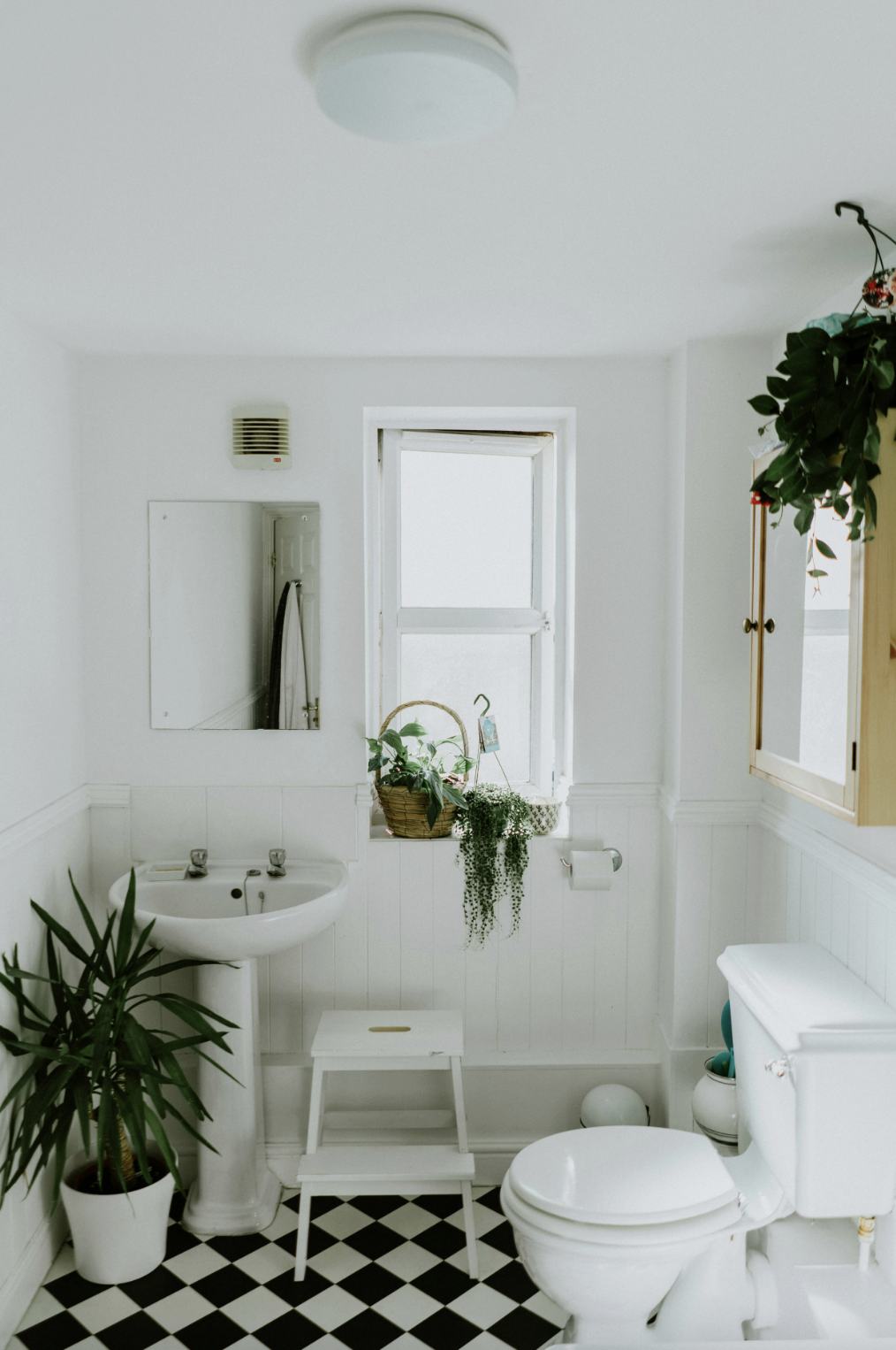 Bright bathroom with pedestal sink and houseplants
